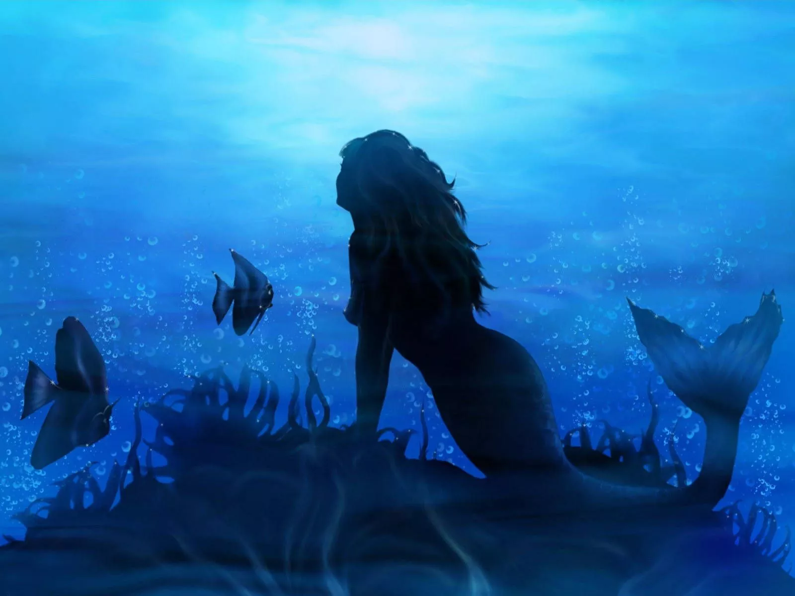 Mermaid HD Wallpaper