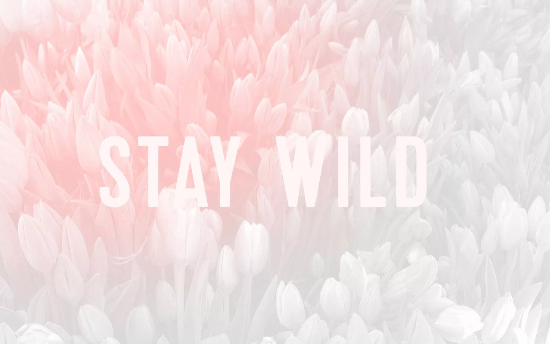 Cute Pastel Stay Wild Wallpaper