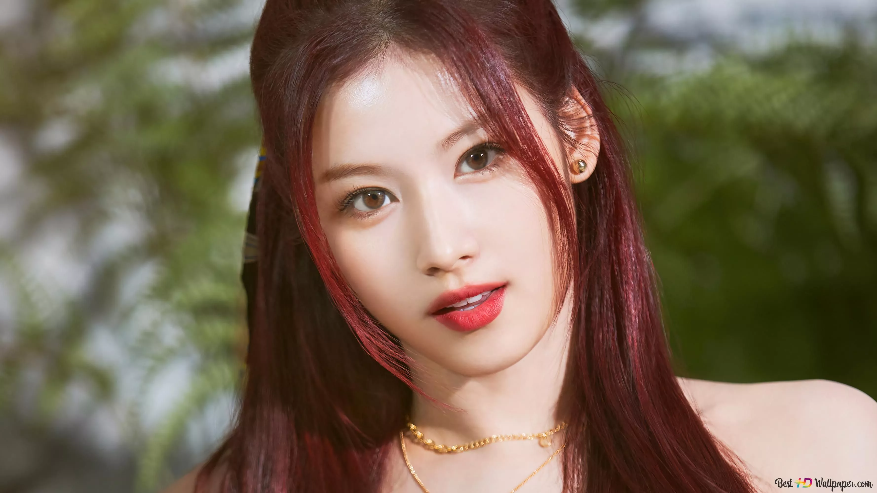 MV Photohoot 4K wallpaper