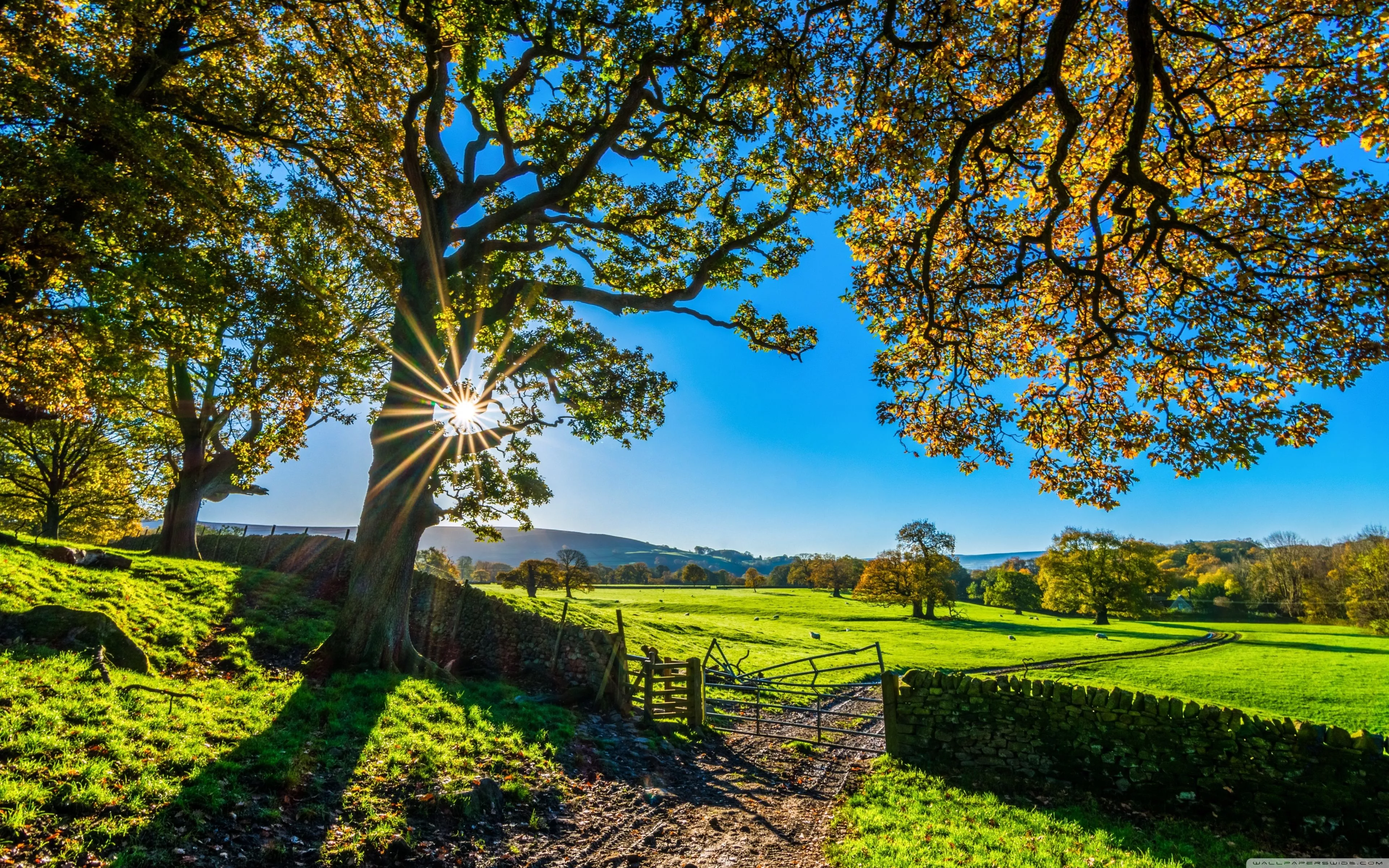 Beautiful England Nature Countryside