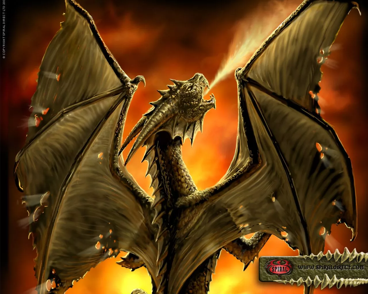 Wallpaper draak animaatjes 62 Wallpaper