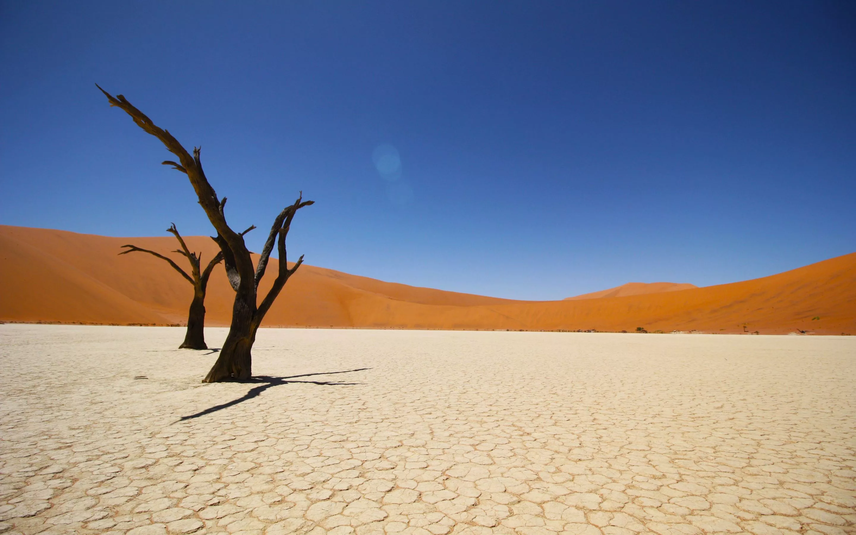 Namib Coastal Desert 4K Wallpaper. HD
