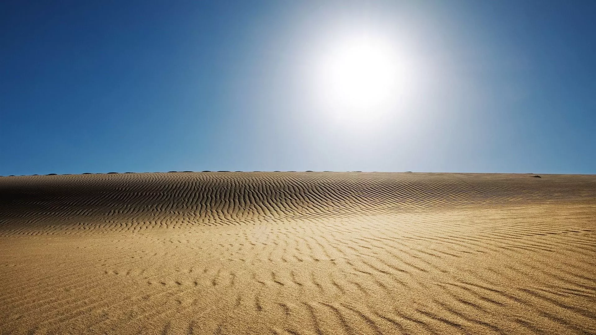 Desert Sun Amazing Desert Scenery