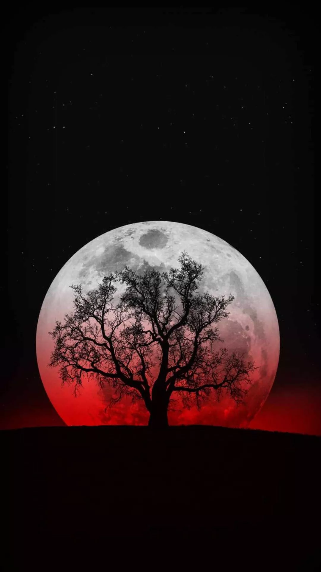 Moon Wallpaper Moon