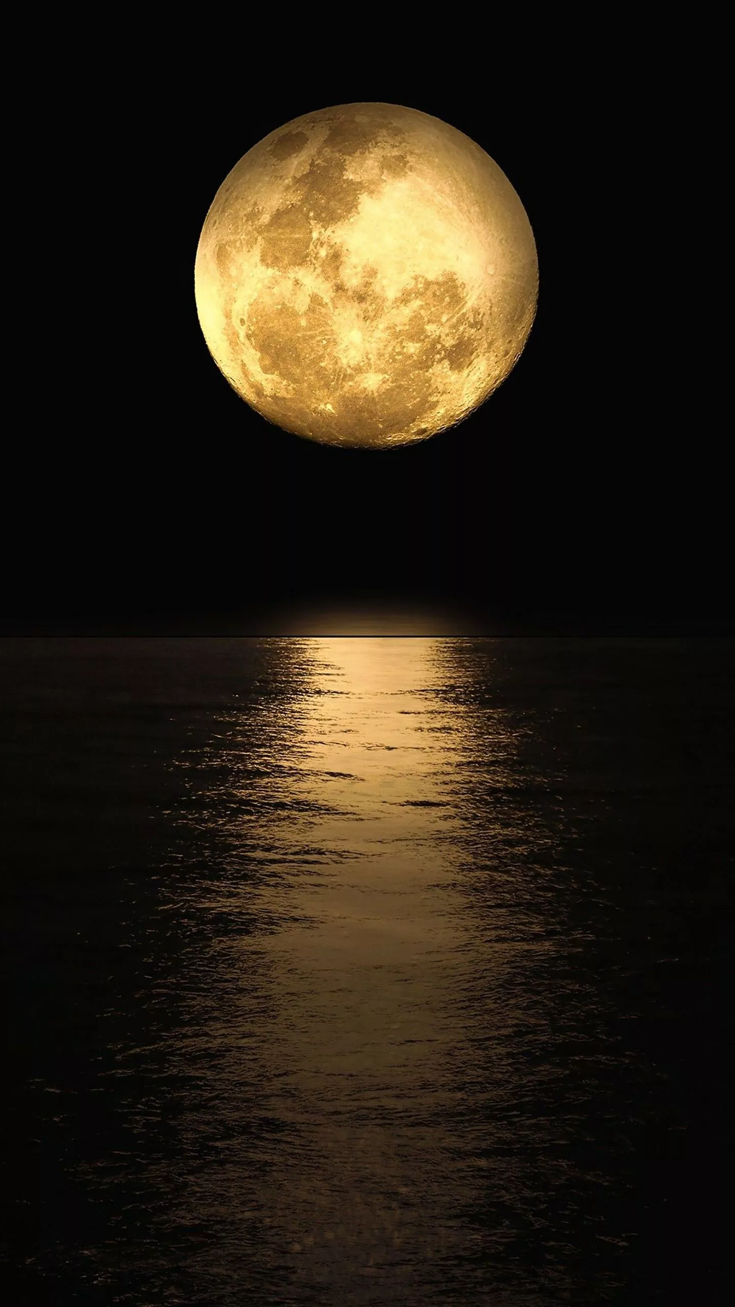 Moonlight Wallpaper