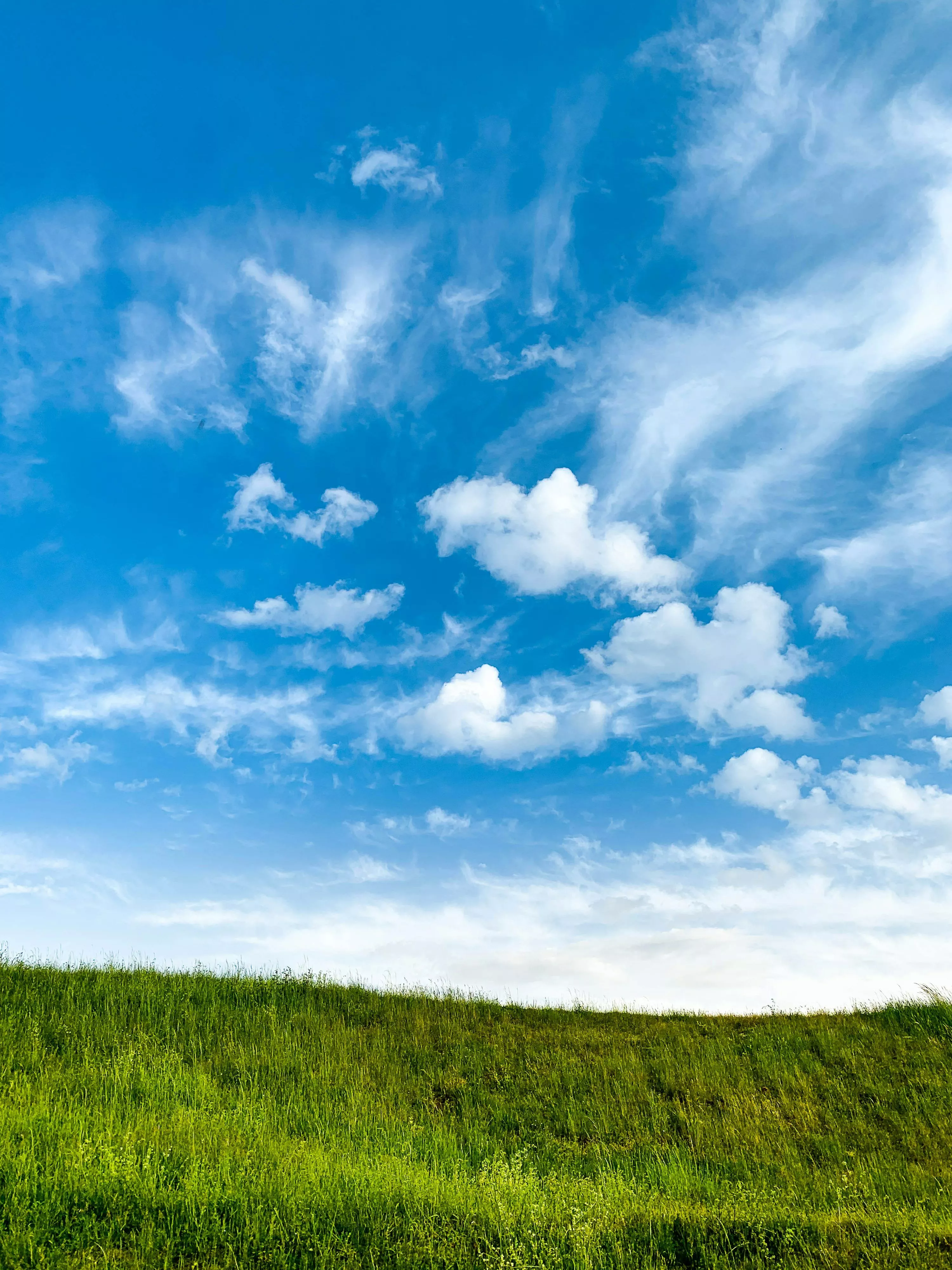 Green grass field under blue sky
