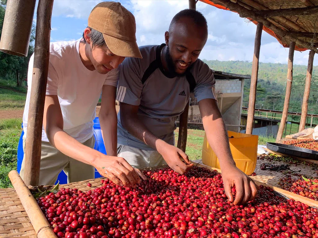 The Journey of Specialty Coffee