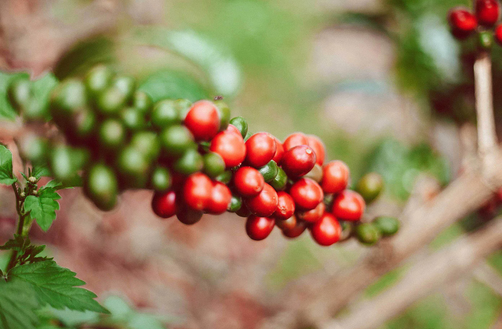 In Honor of Earth Day