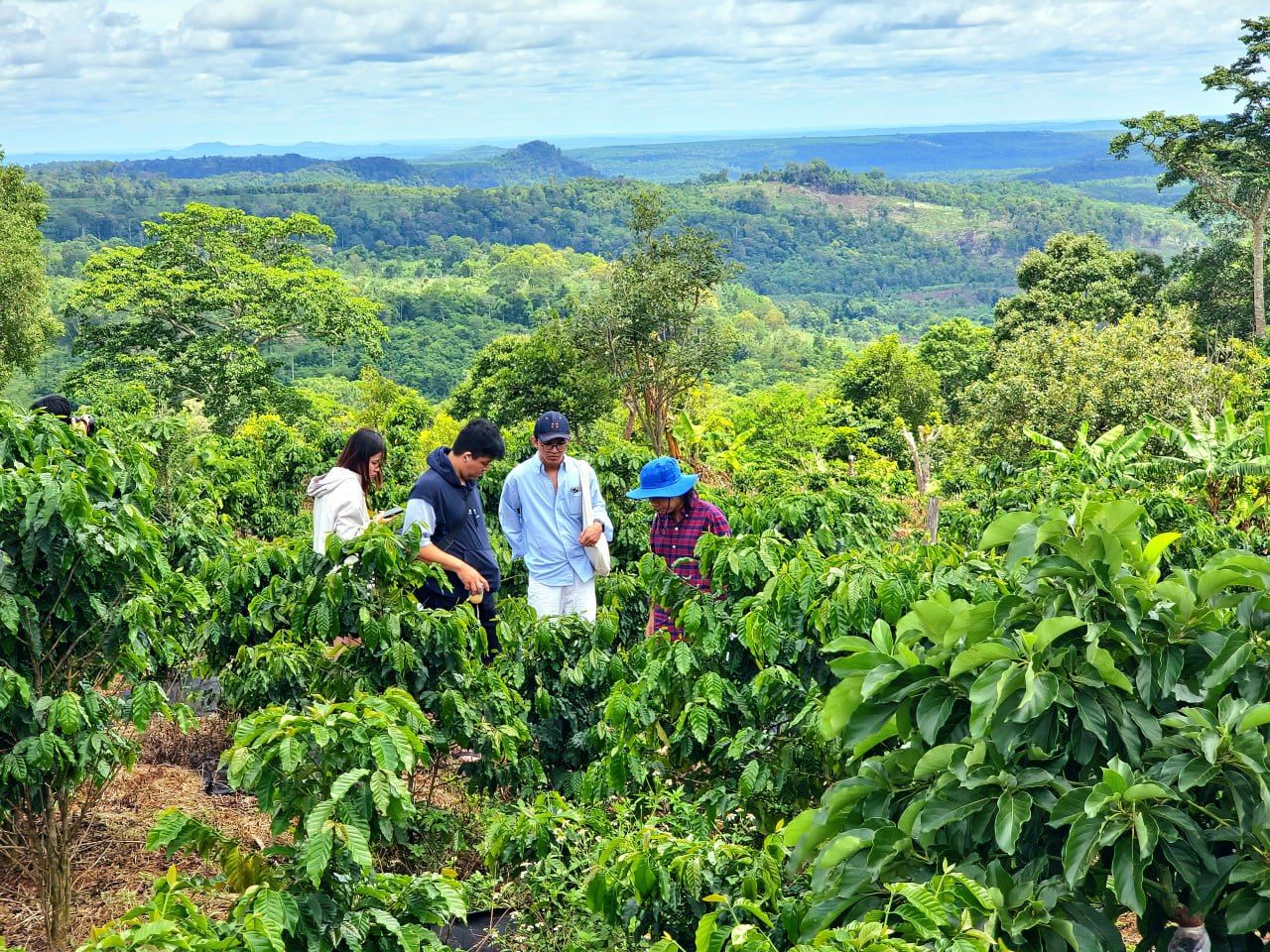 PIDA Coffee Farm Farm Tour