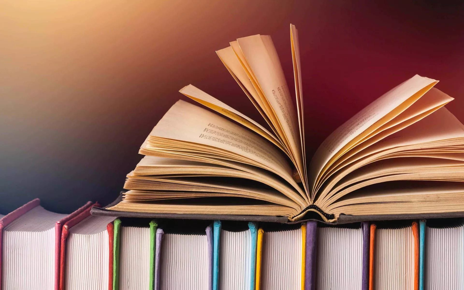 Multicolored Books Wallpaper