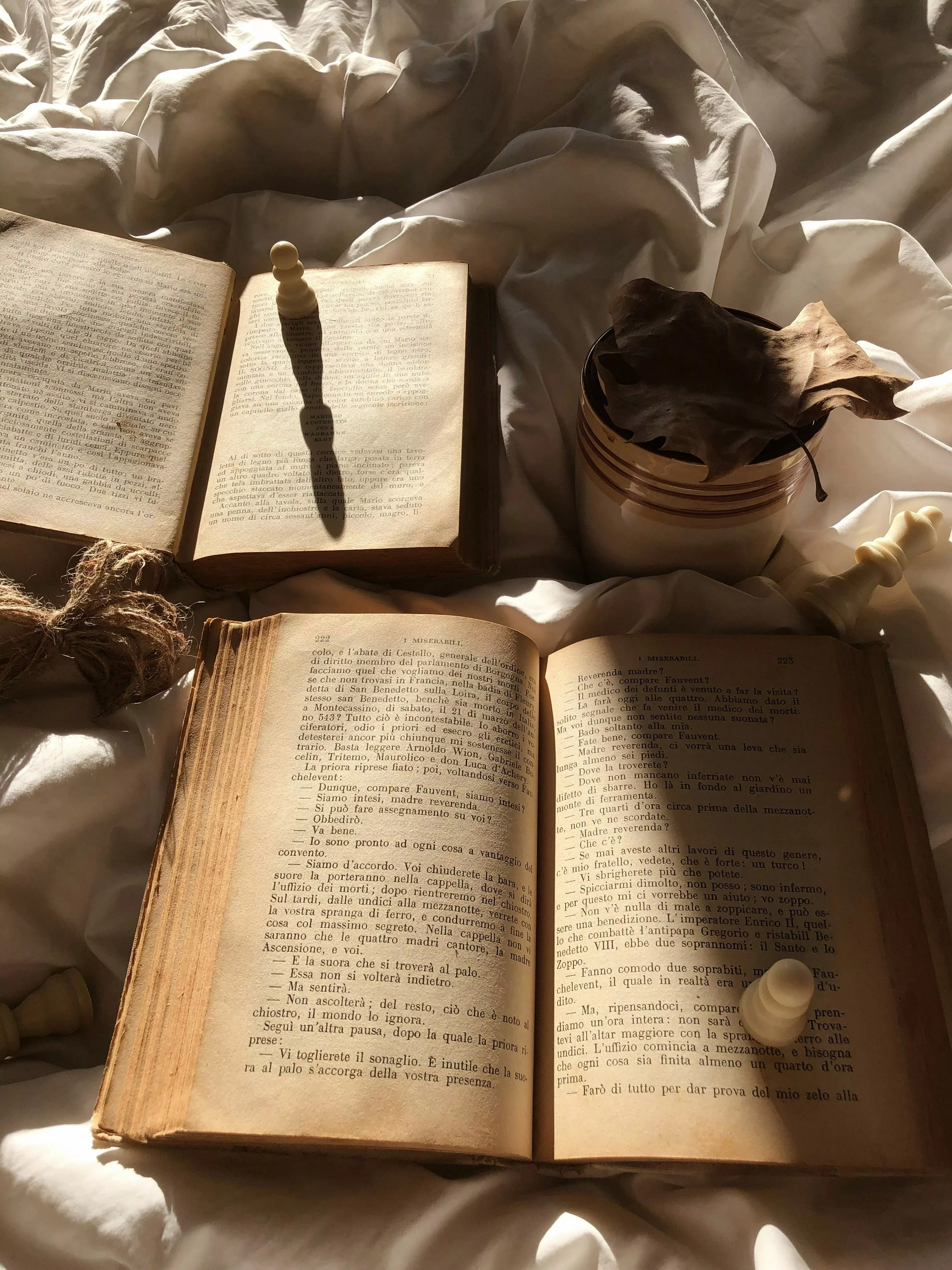 Books and Plant on a Bed · Free