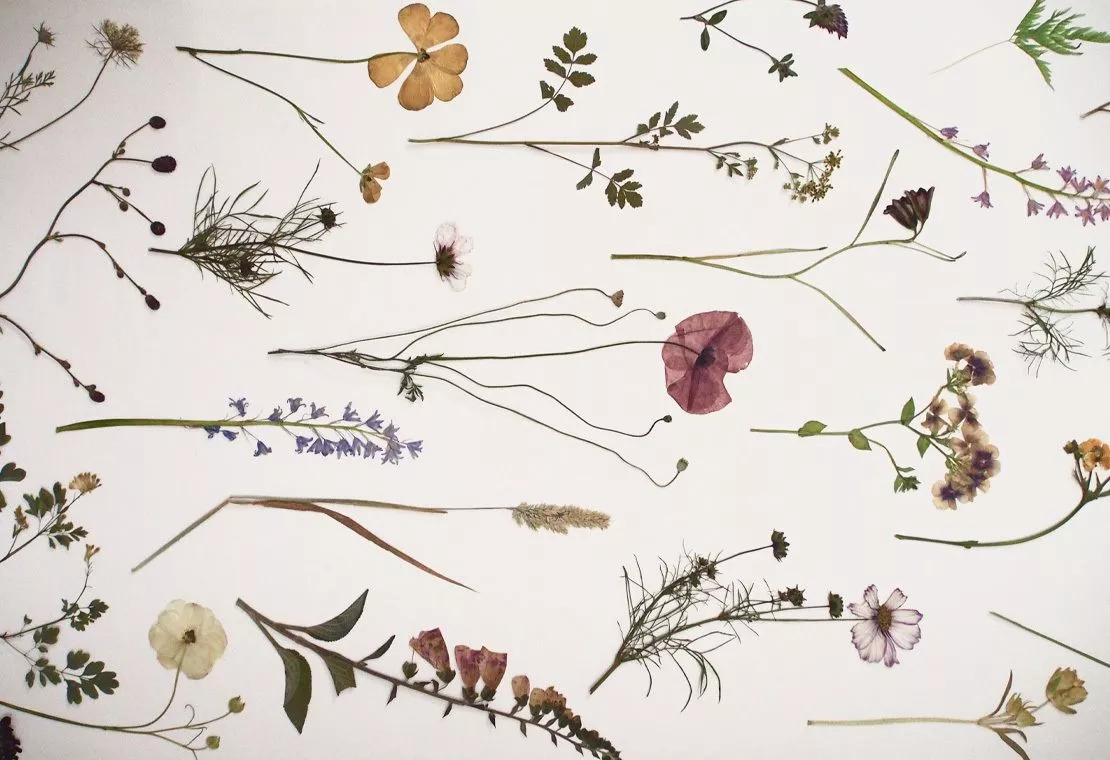 Floral Design with JamJar Flowers