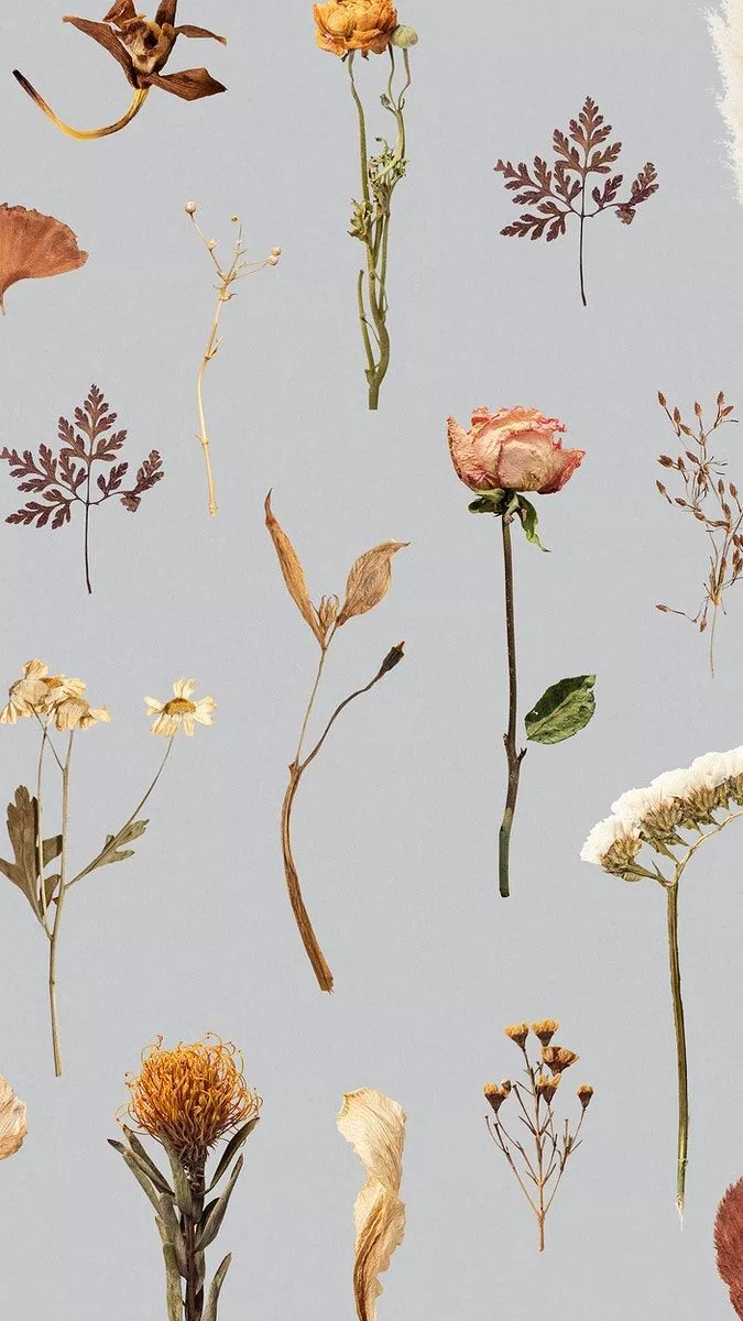 Dried flower pattern mobile wallpaper