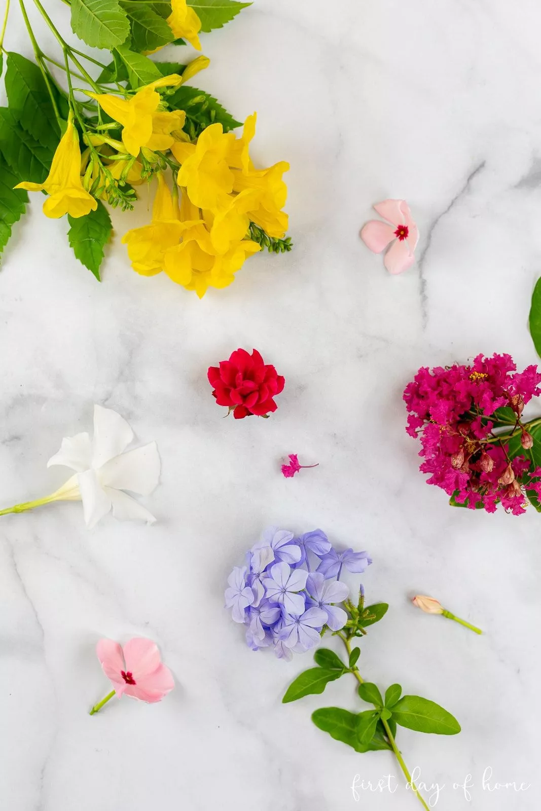 How to Press Flowers: A Complete Guide