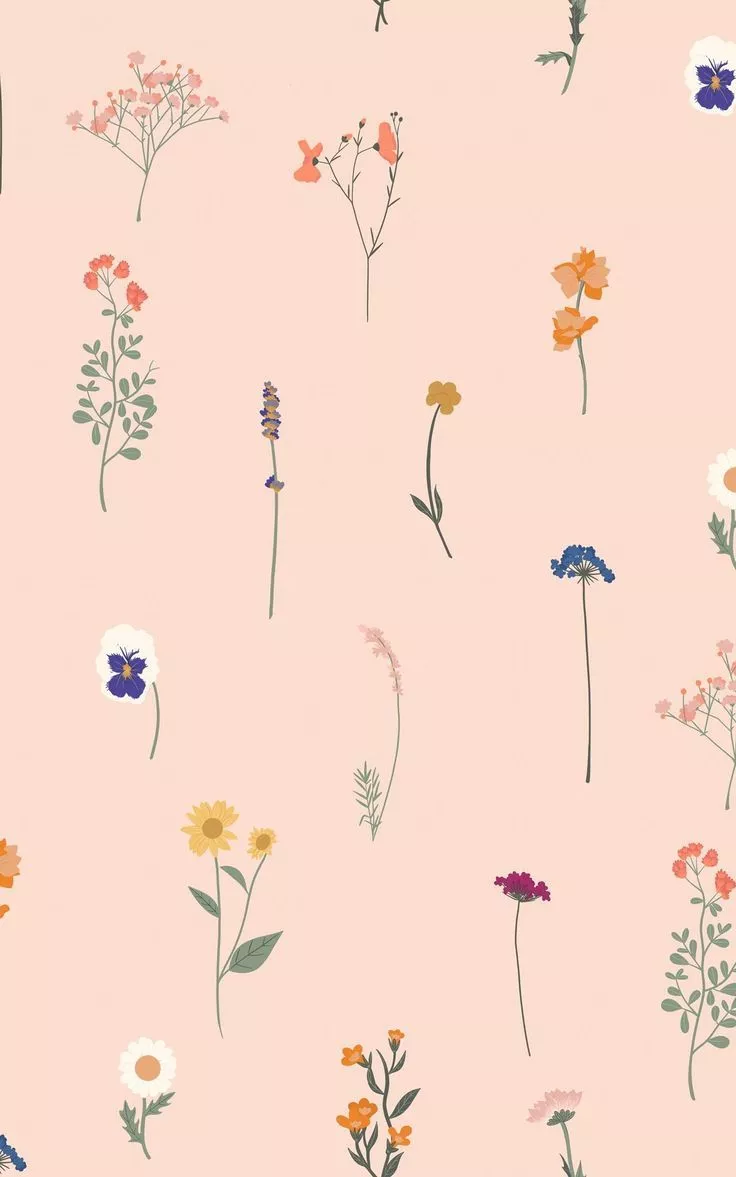 Pink Pressed Flower Pattern Wallpaper