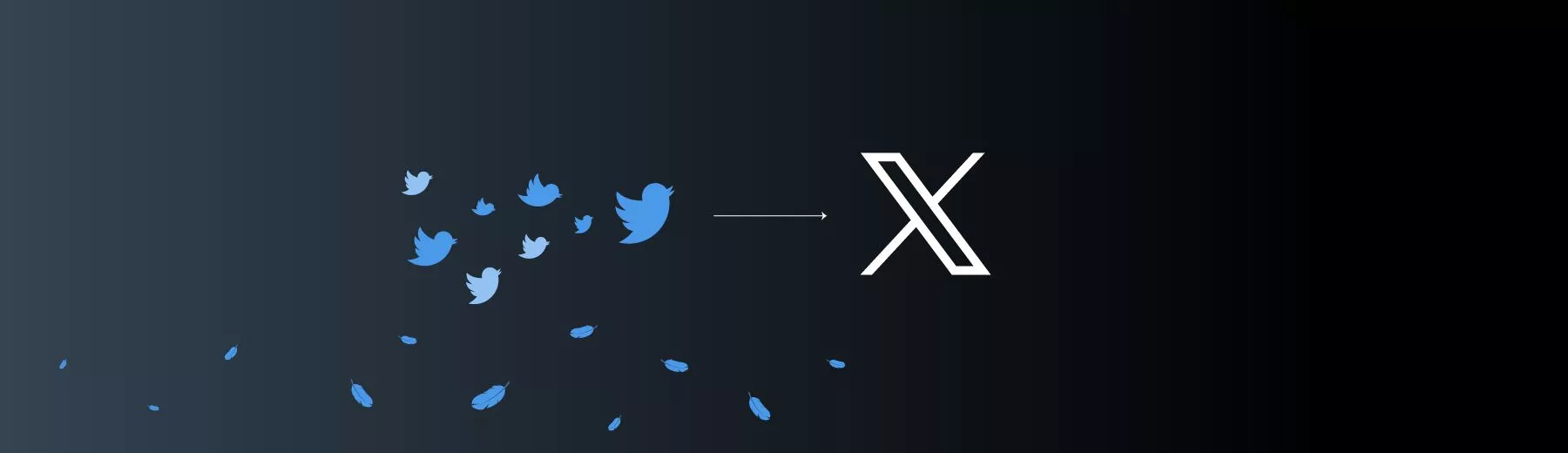 Twitter Is Now X. What Else Has Changed