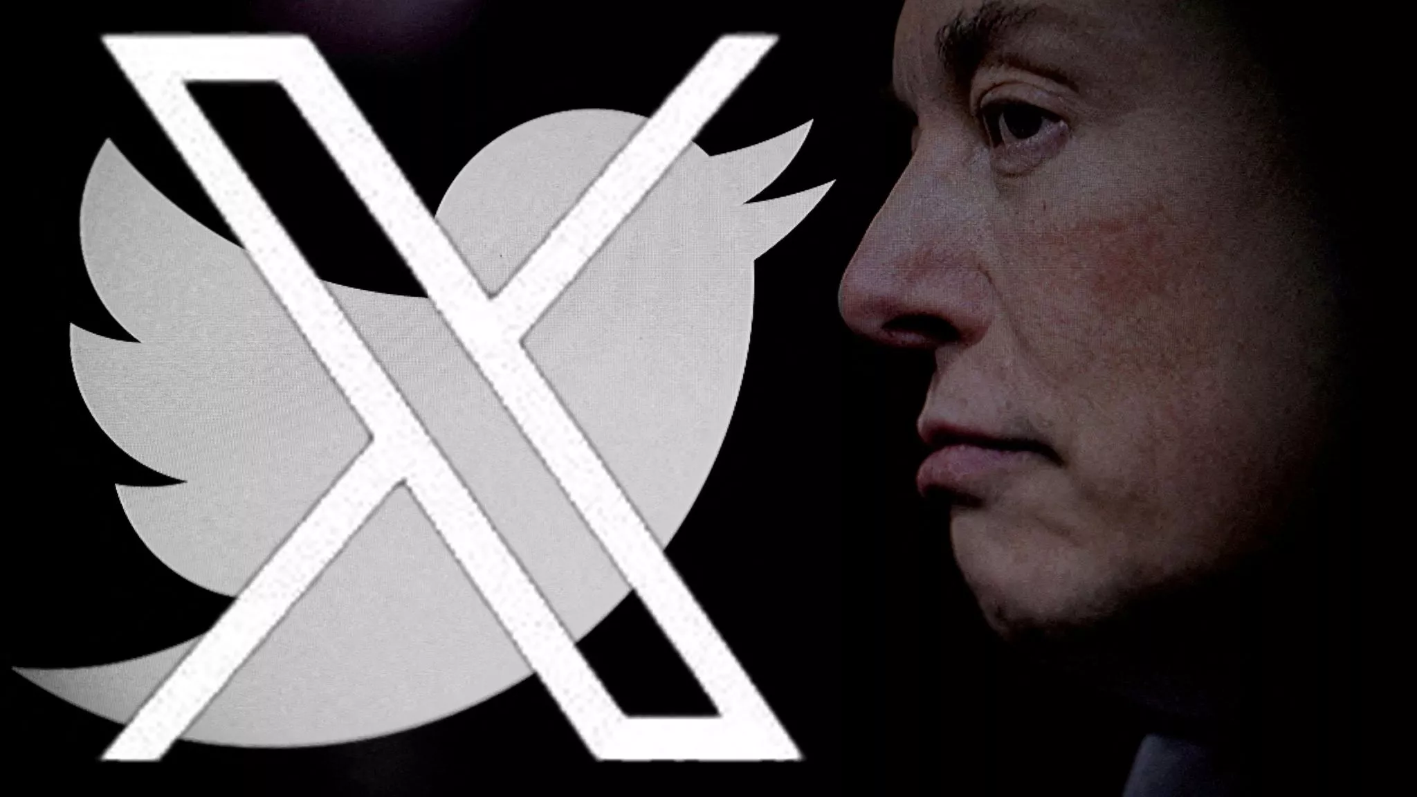 Elon Musk wants to rebrand Twitter