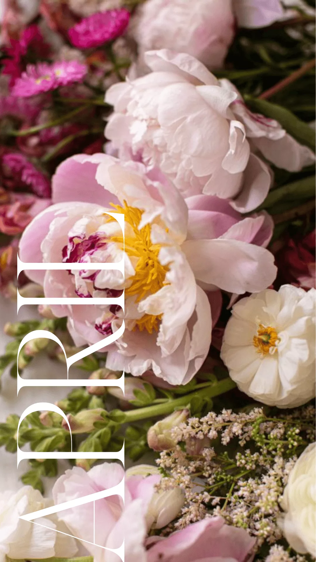 Floral Desktop and iPhone Background