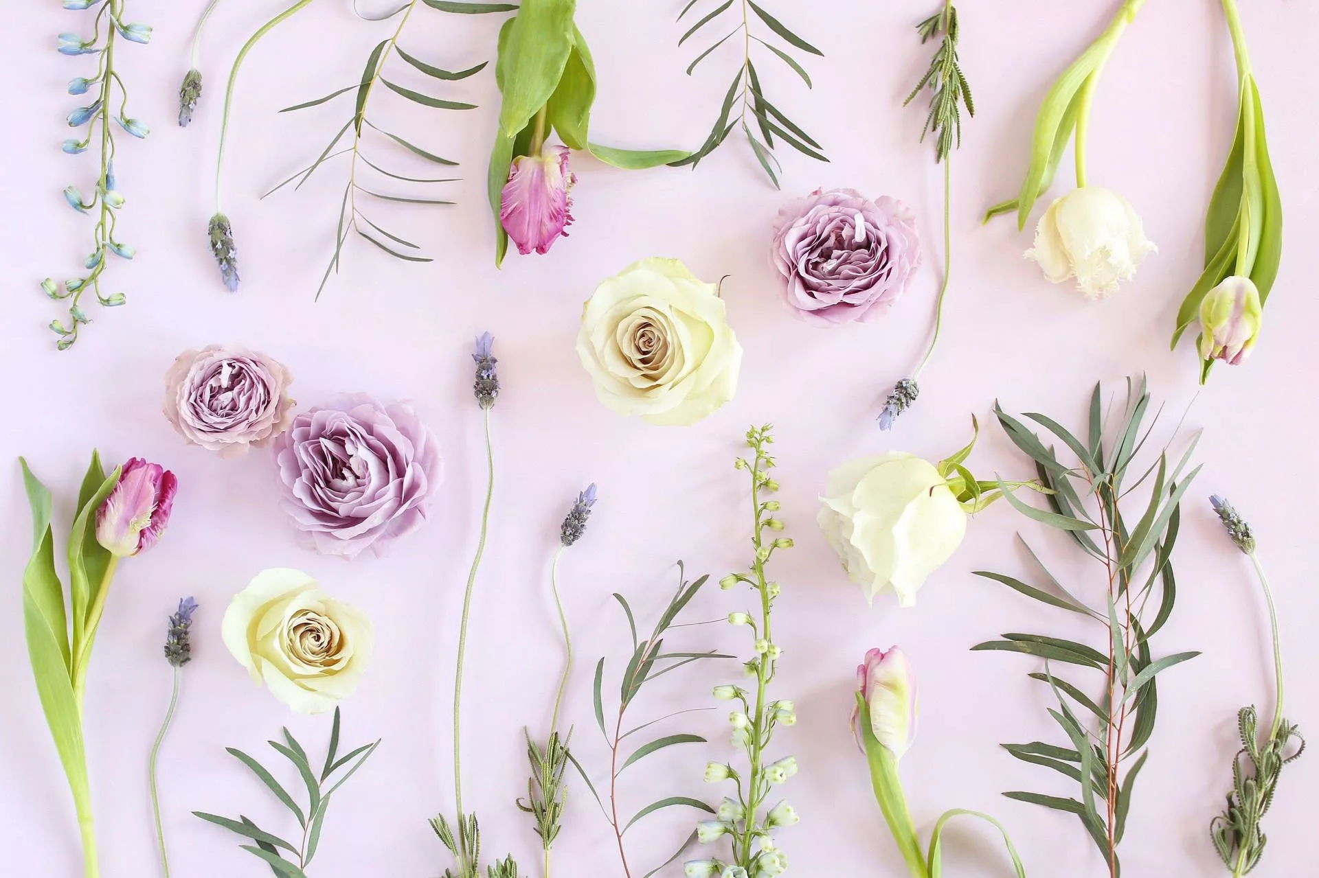flowers, ready for spring! Wallpaper