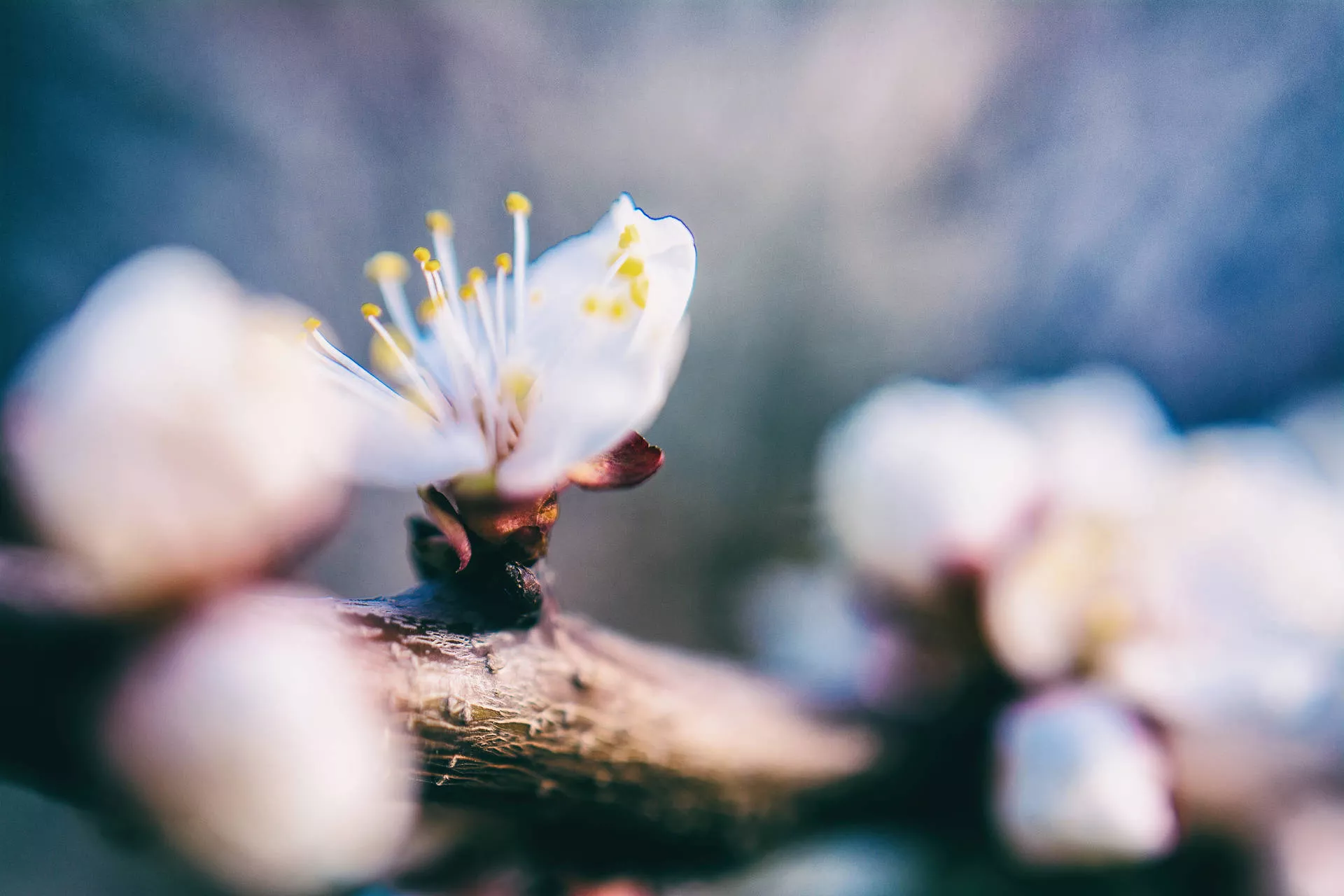 April Picture