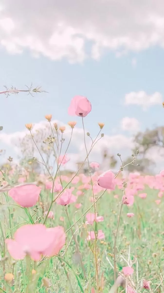 Pink Flowers Wallpaper