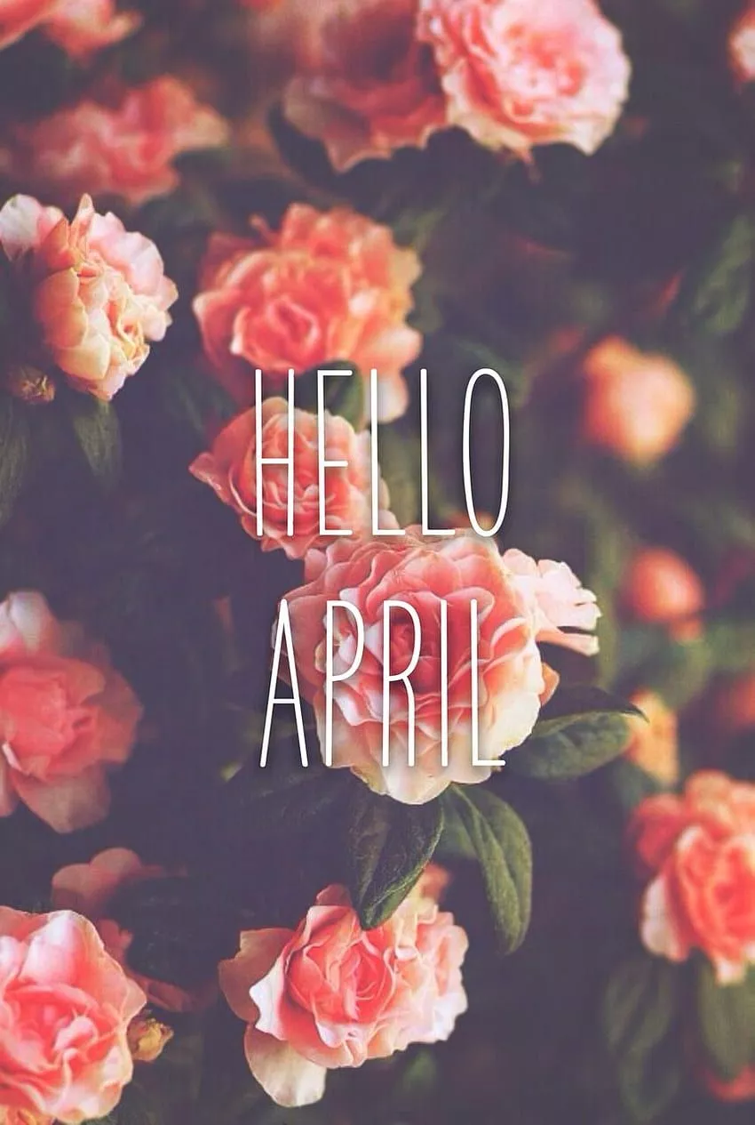 hello april, spring HD phone wallpaper