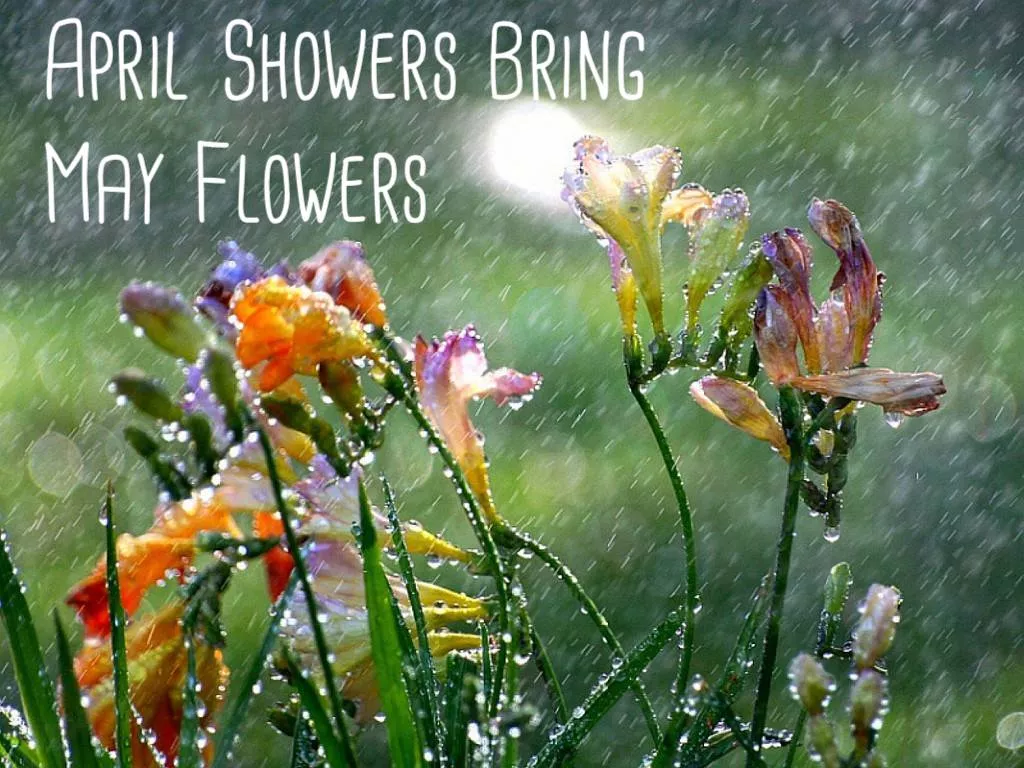 April Showers Bring May Flowers