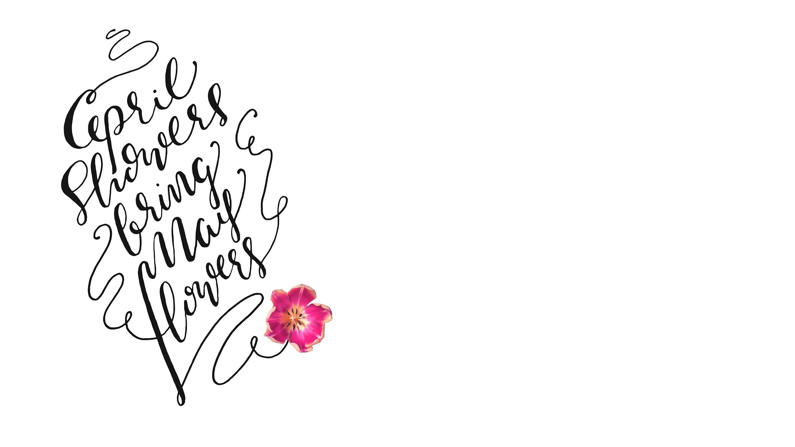 Wallpaper 02: April Showers Bring May