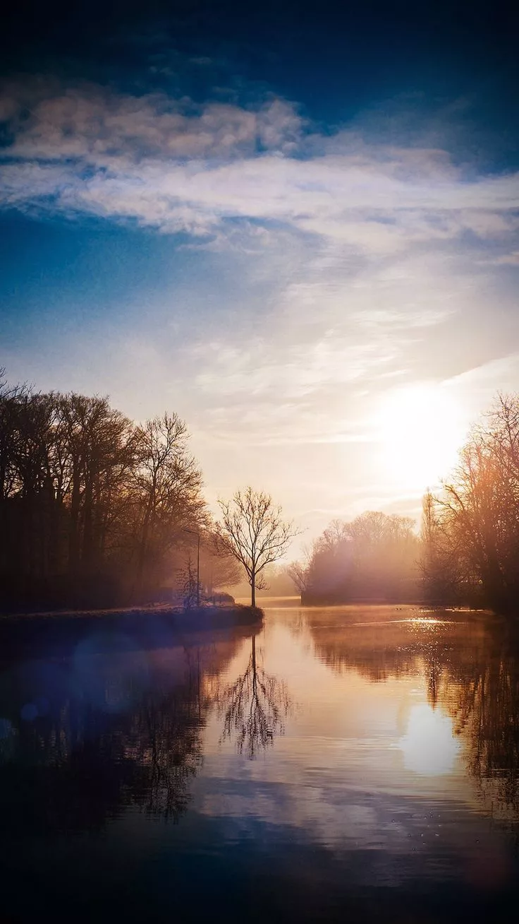 Nature Vignette iPhone 8 Wallpaper