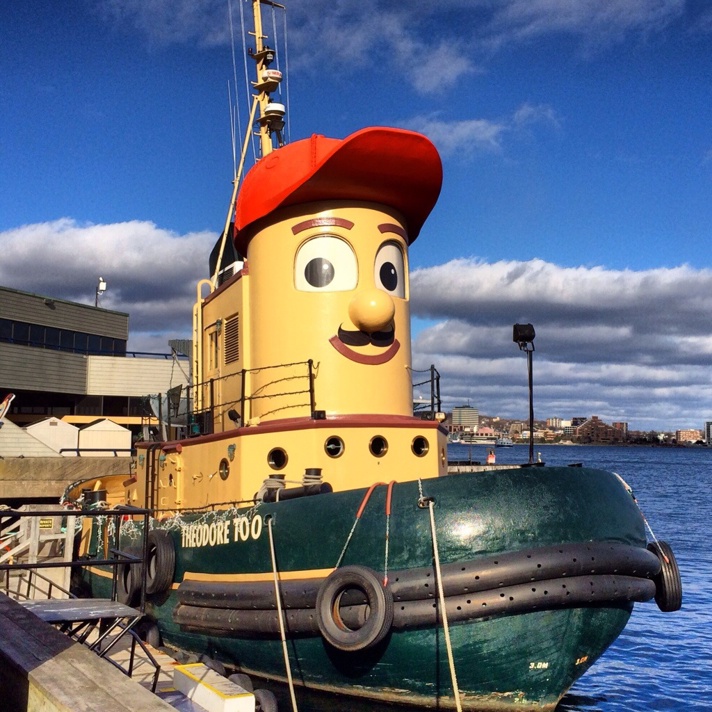 from new fridge to new water tank