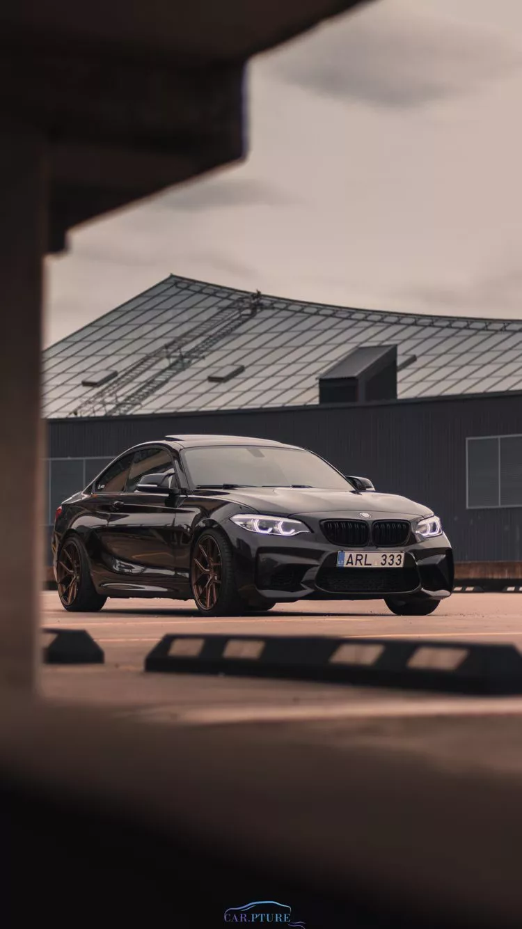 My 2016 F22 Sparkling Brown