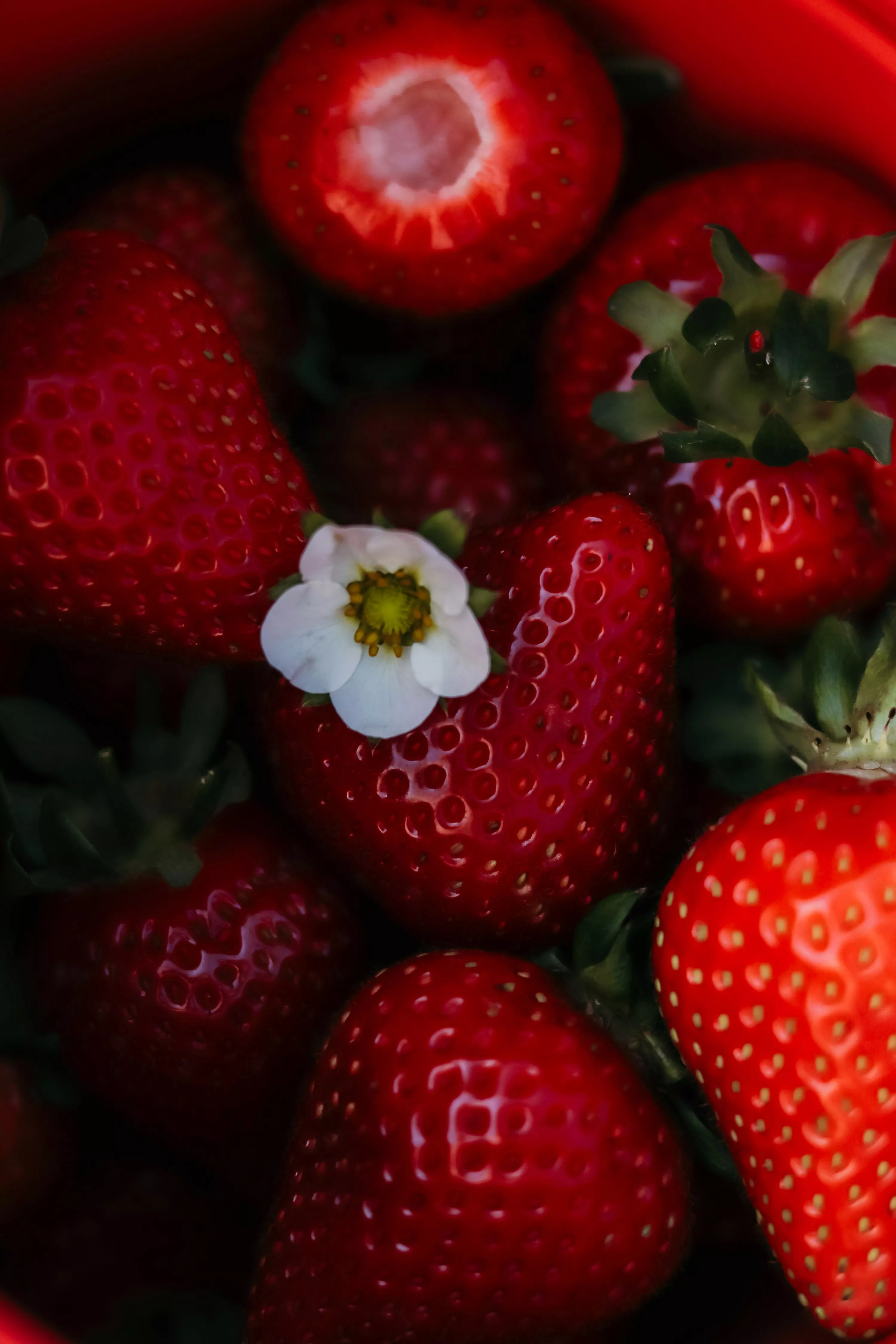 A close up of a bowl of strawberries
