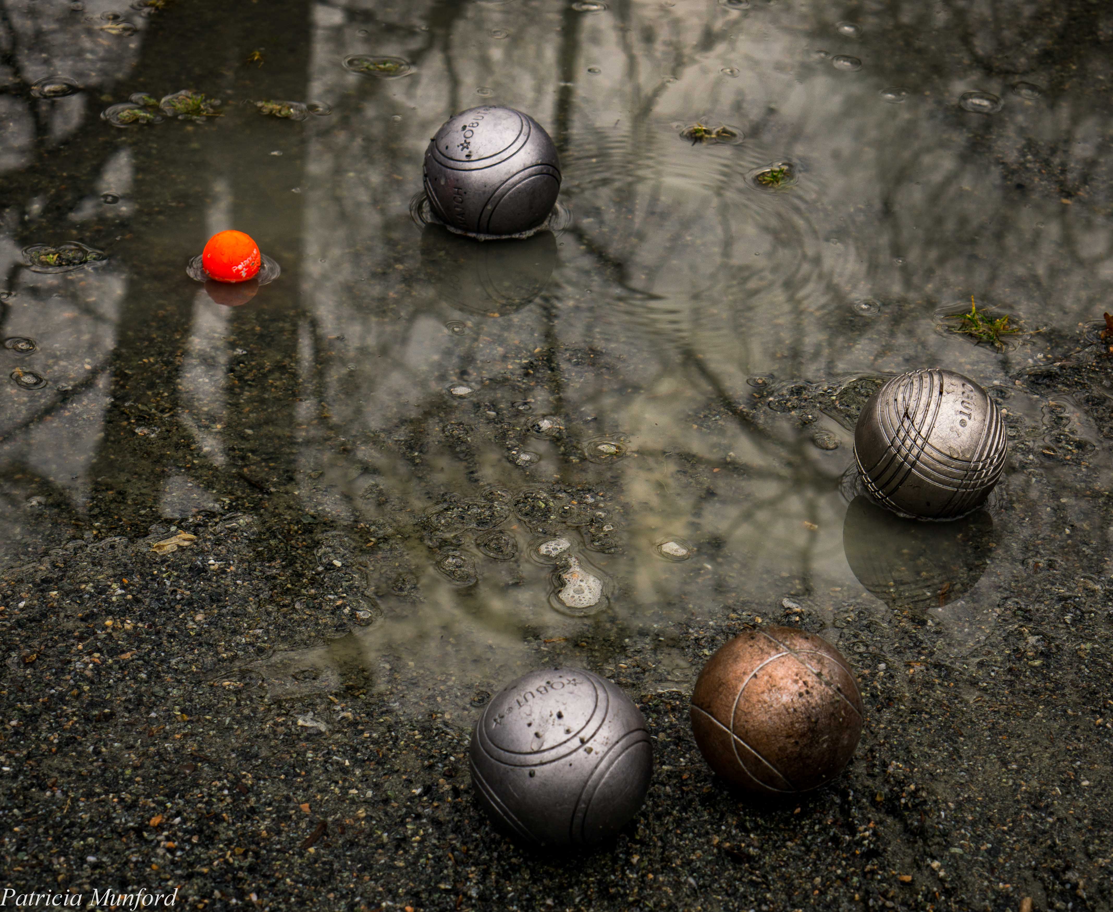 Les Boulefrogs Pétanque Club of Virginia
