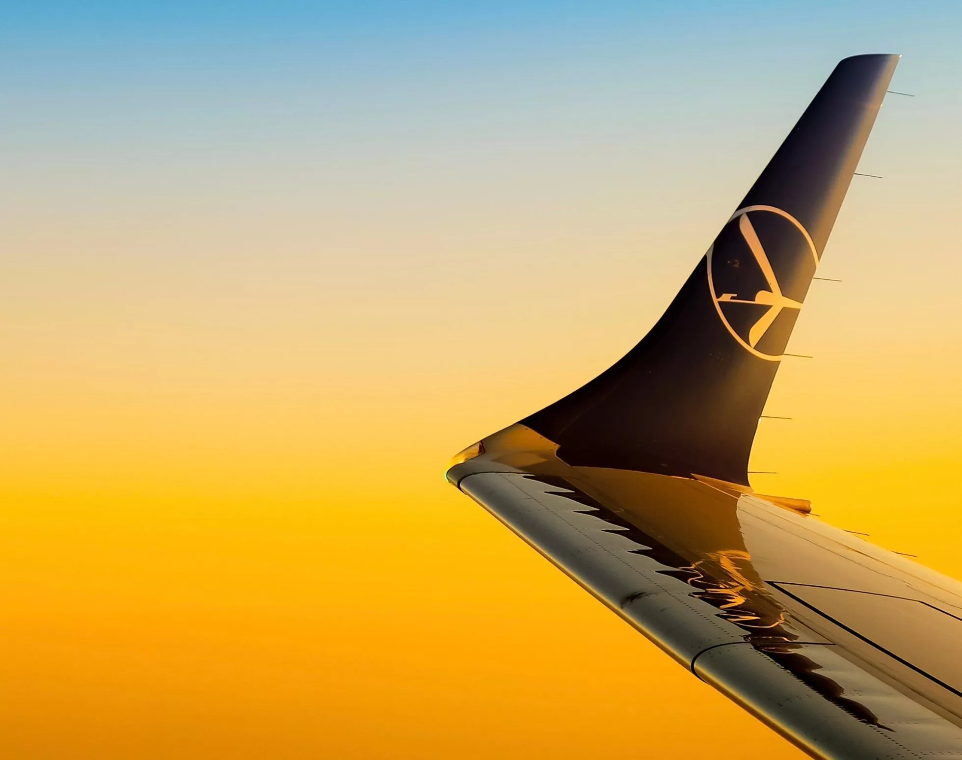 LOT background for download