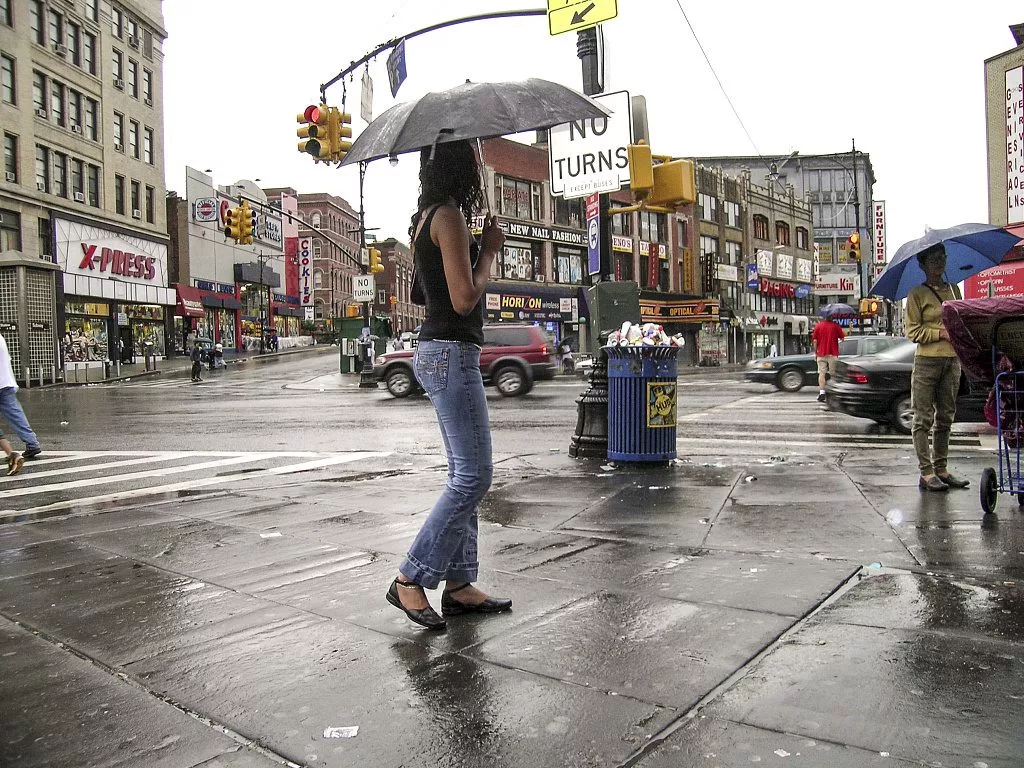 Nostalgic Photo of the Bronx