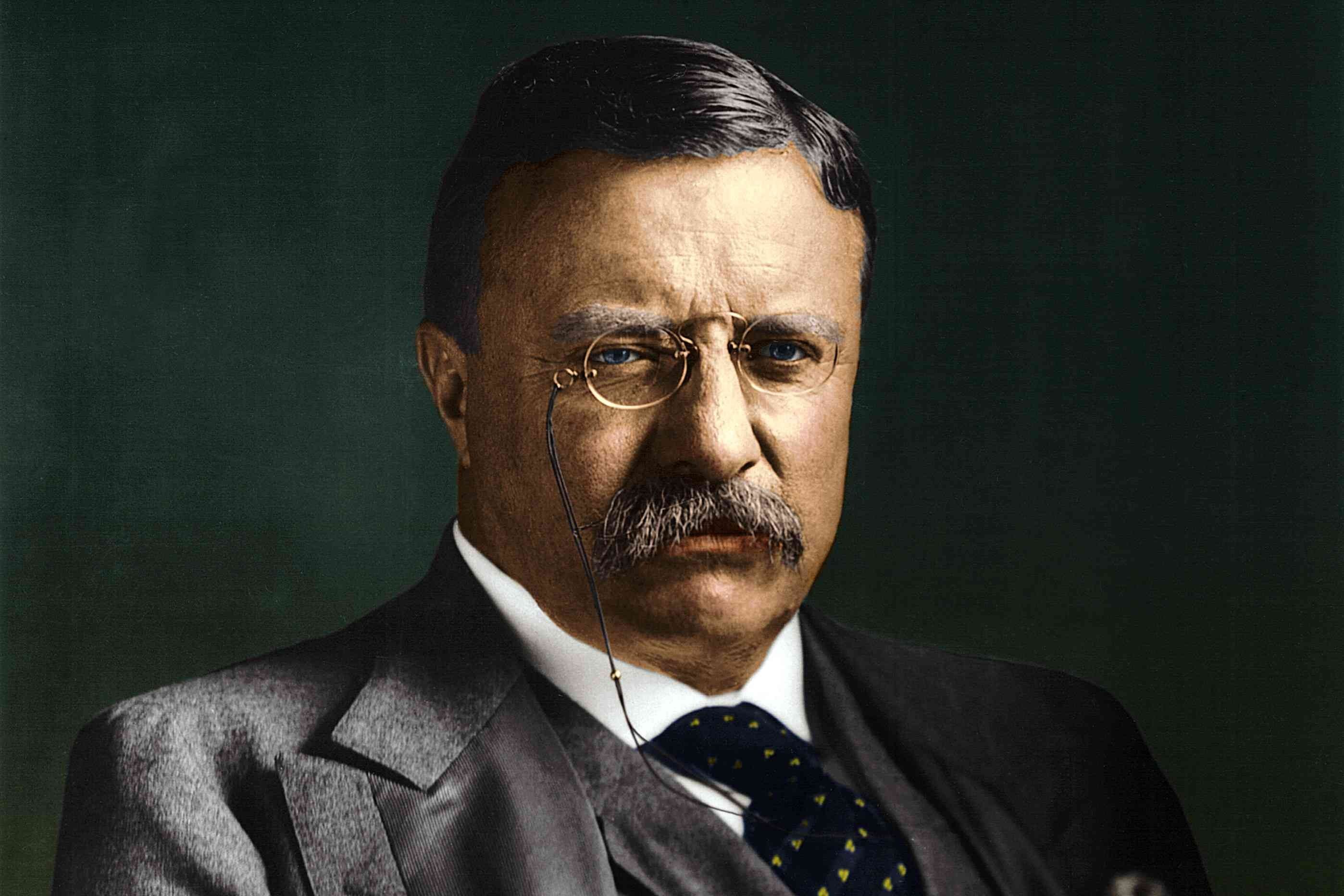 Theodore Roosevelt Wallpaper 19
