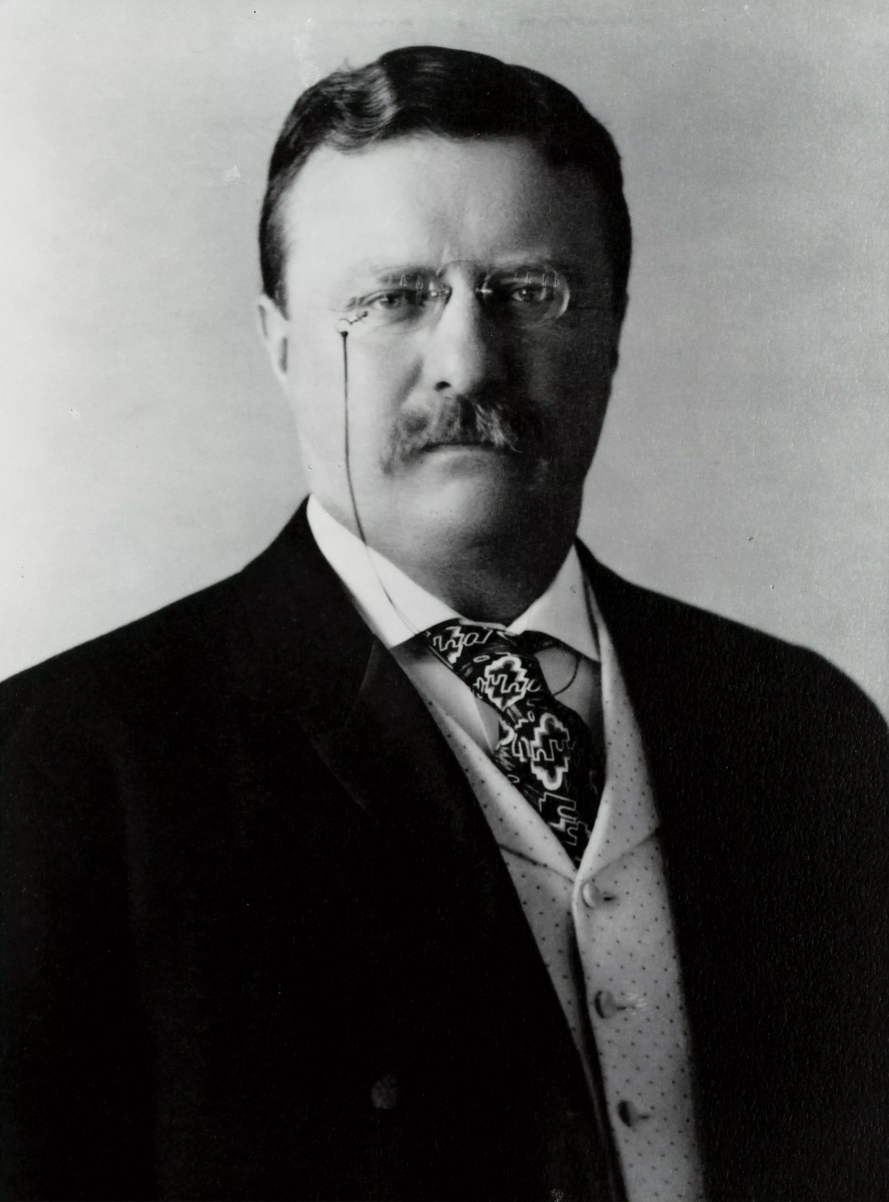 Theodore Roosevelt Picture. Download