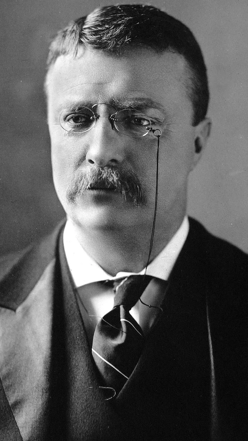 Theodore Roosevelt Wallpapers Wallpaper Cave