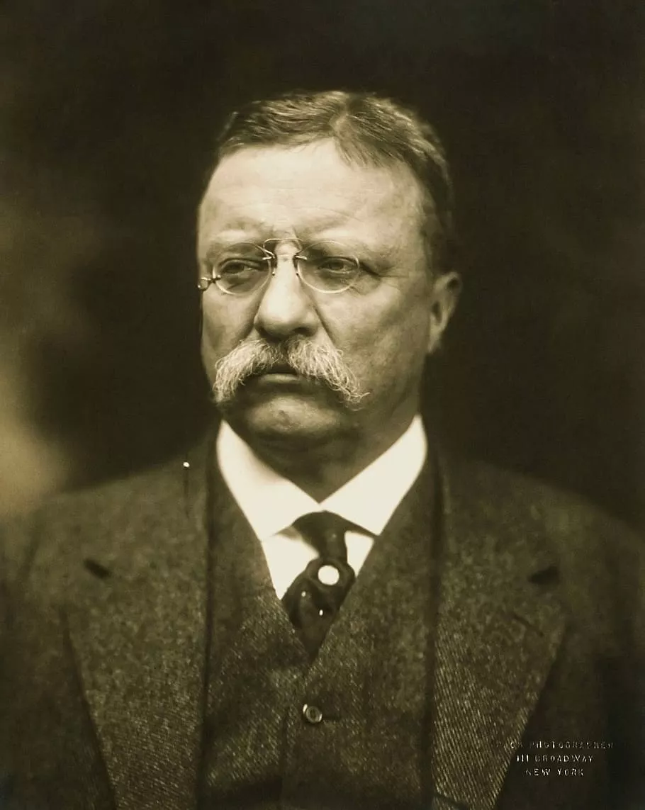 Theodore Roosevelt Portrait, history