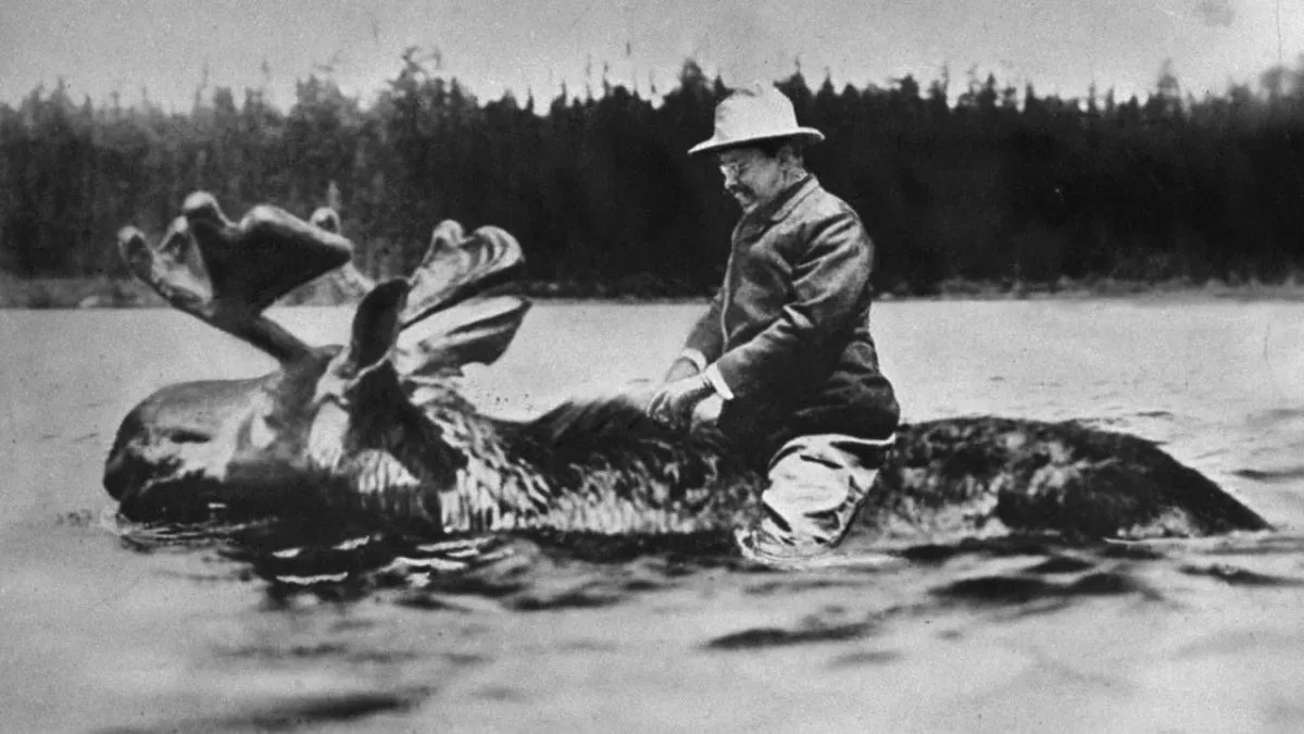 Did Teddy Roosevelt Ride a Moose