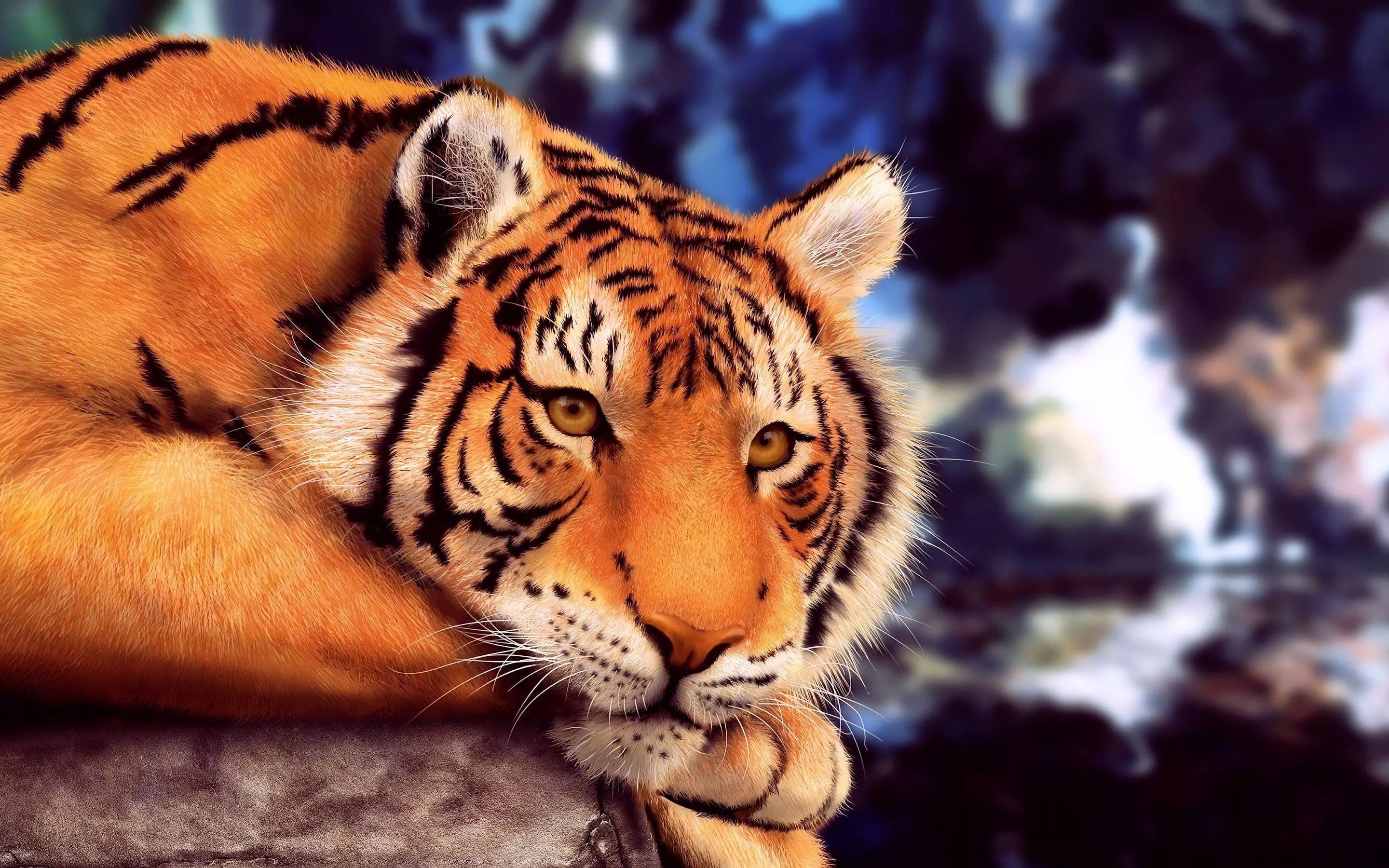 Tiger 8K Wallpaper