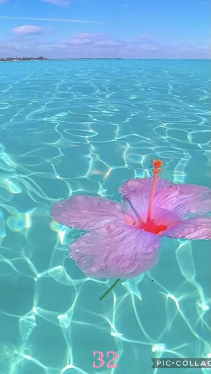 Coconut girl wallpaper cute trendy