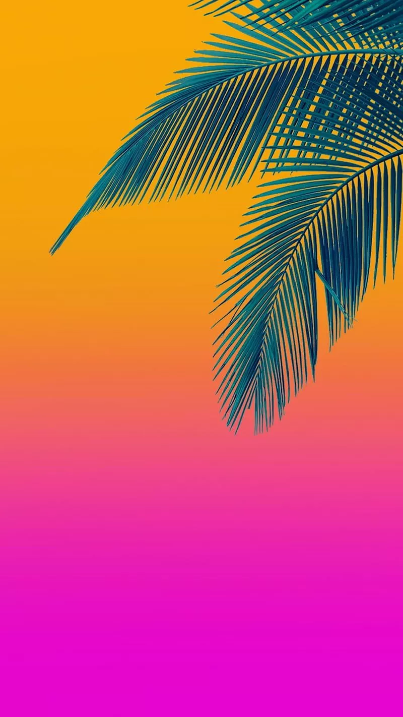 Palm, beauty, holiday, orange, pink, s7