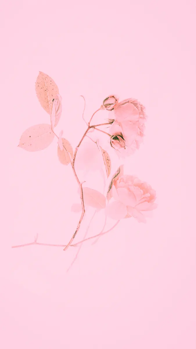 Amazing Pink Wallpaper Background