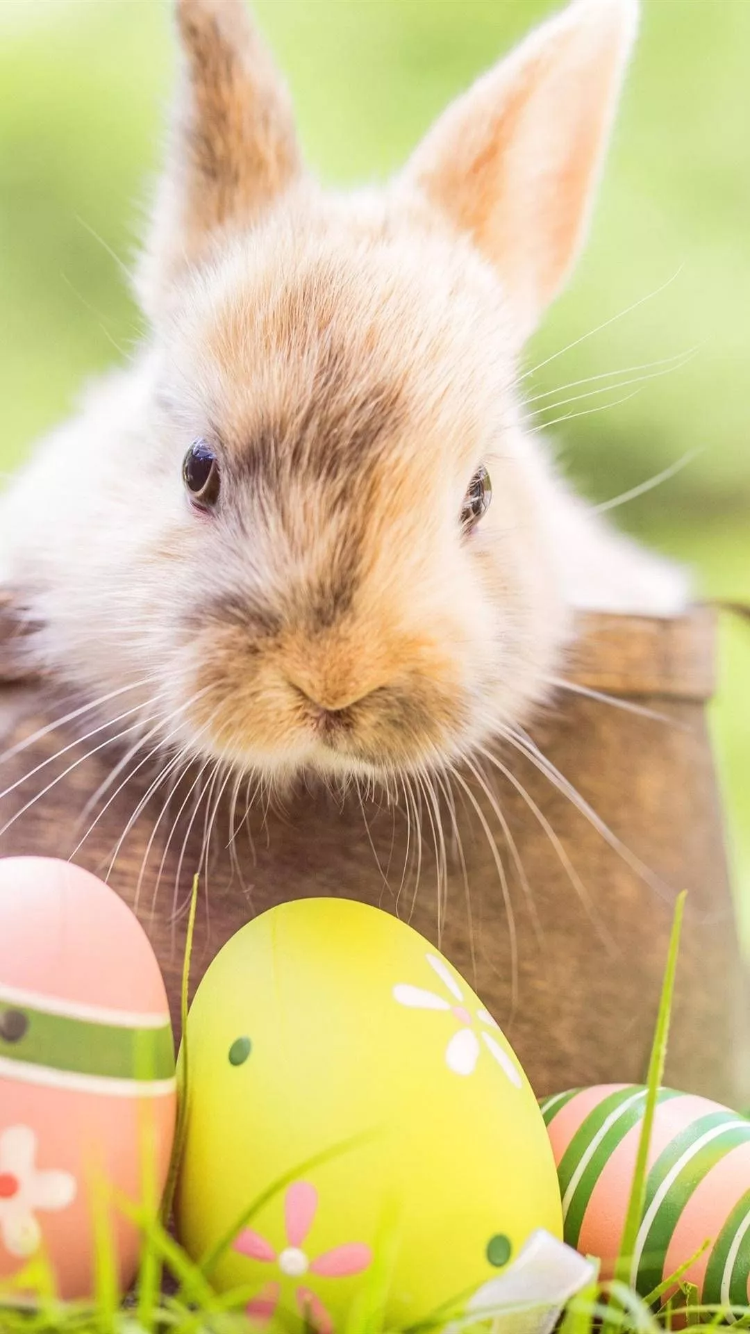 Enjoy Easter With A Side Of Tech