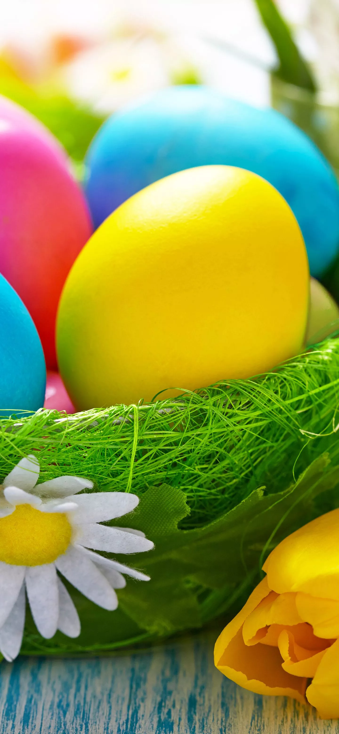Colorful, Tulip, Egg, Easter Egg