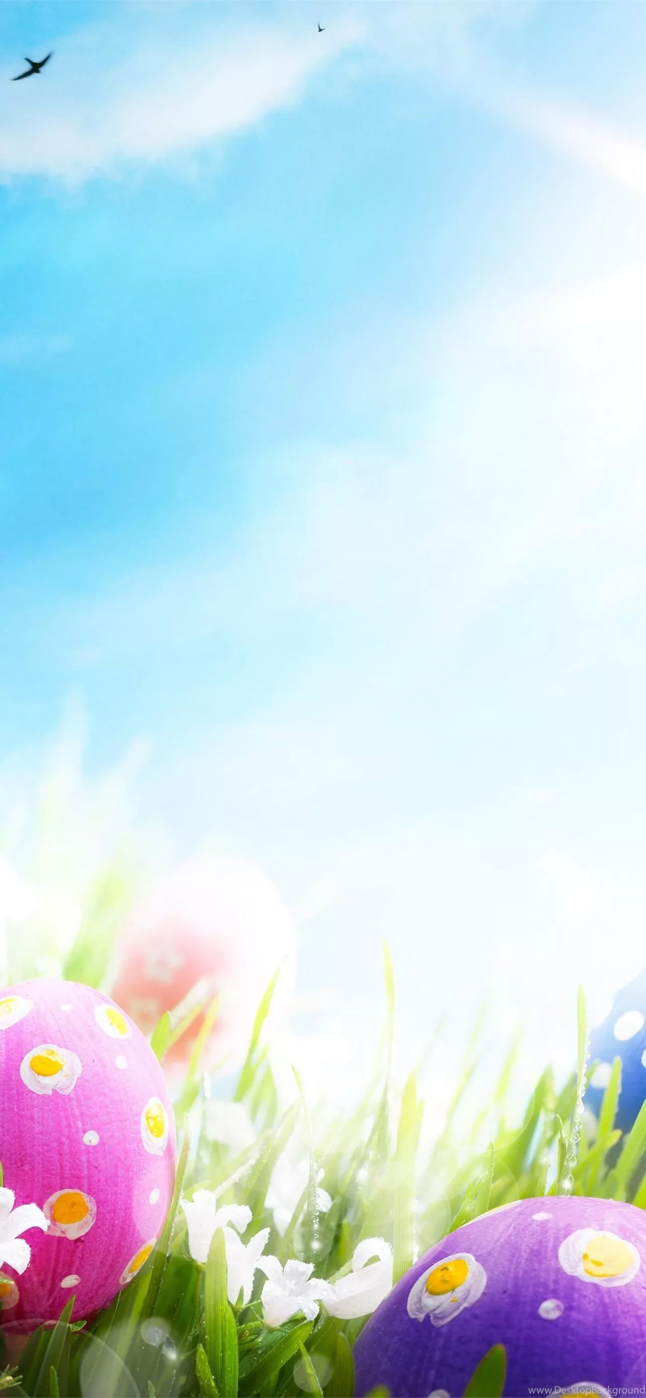 EASTER EGGS Desktop Background iPhone