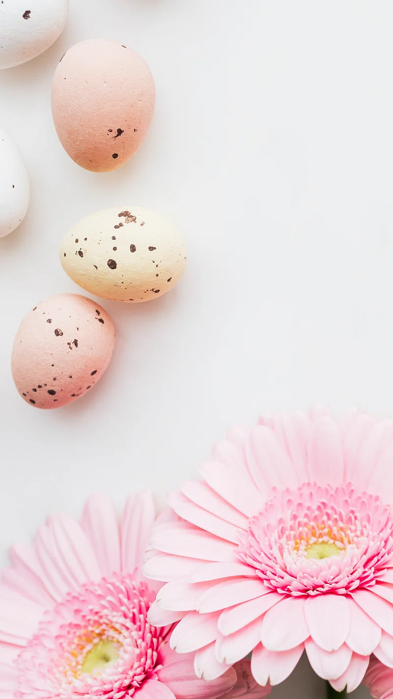 Easter Egg Background Design Image
