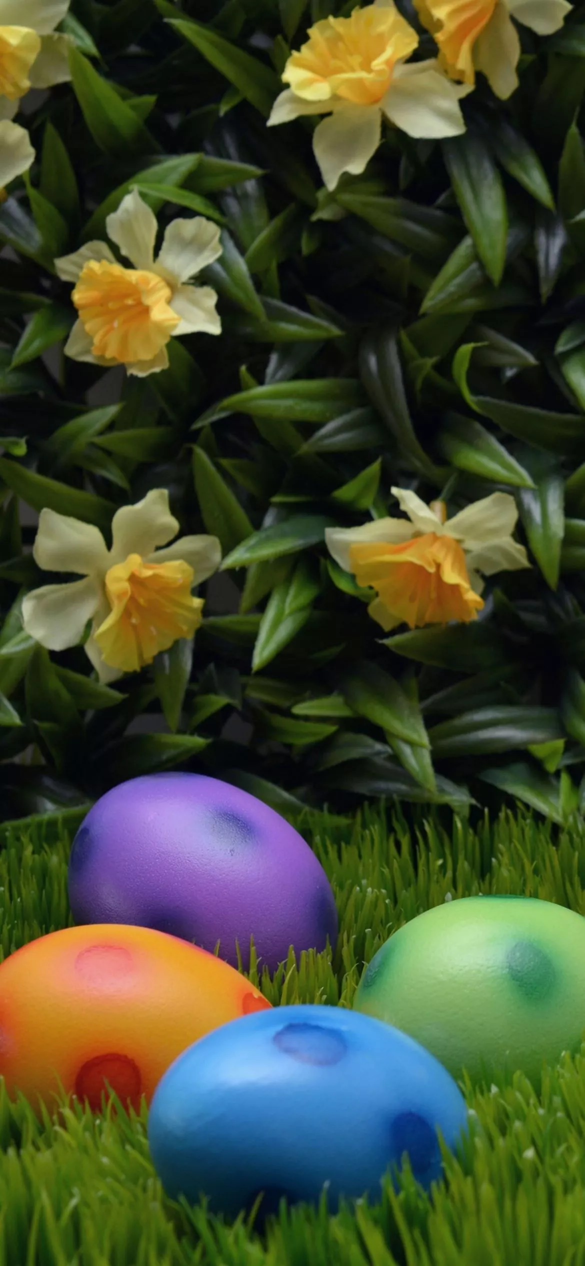 Easter Egg iPhone Wallpaper