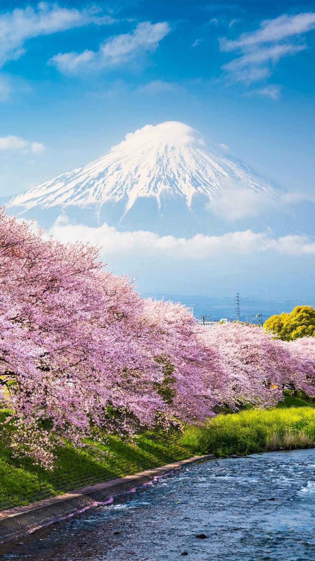 Japan Wallpaper